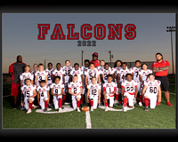 Falcons 2022