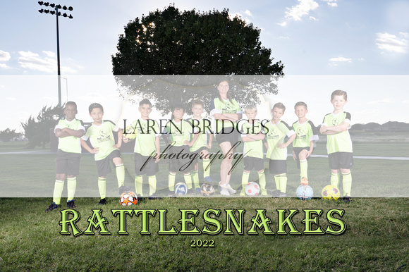 rattlesnakes team